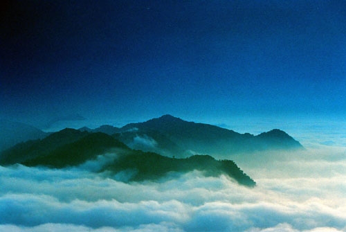 阿里山41K的雲海