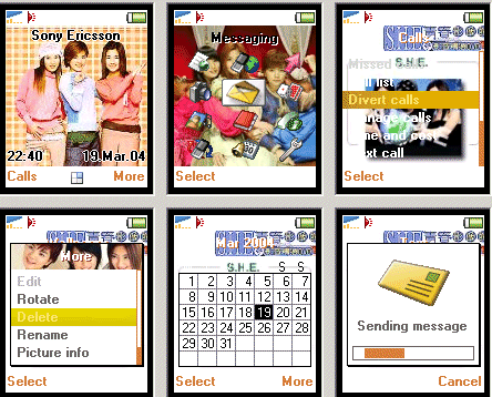 [分享T6X0/Z600]SHE 的 THEME!