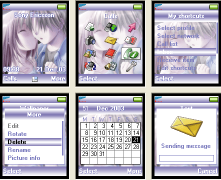 [分享T6X0/Z600]第一次整既主題~多多包涵~