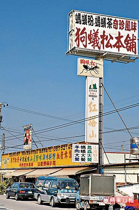 [轉載] 蜘蛛入口美味如大閘蟹...嗯....好吃！