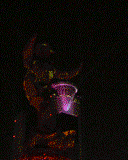 [分享T6X0/Z600]原創自拍自製螢保128X160