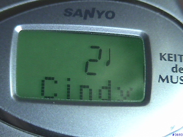 [心得] Sanyo RZ-RM1