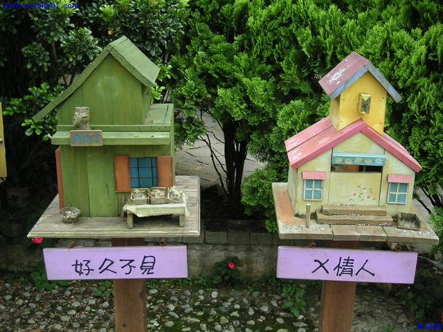 《cat的吃喝玩樂檔案》薰衣草森林（新社店）