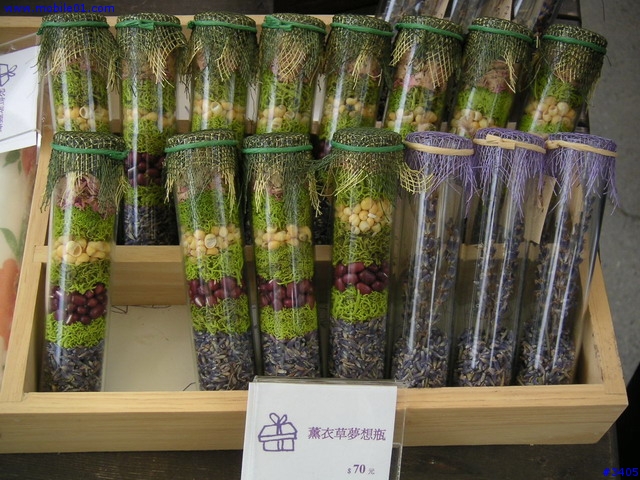 《cat的吃喝玩樂檔案》薰衣草森林（新社店）