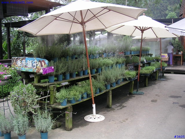 《cat的吃喝玩樂檔案》薰衣草森林（新社店）