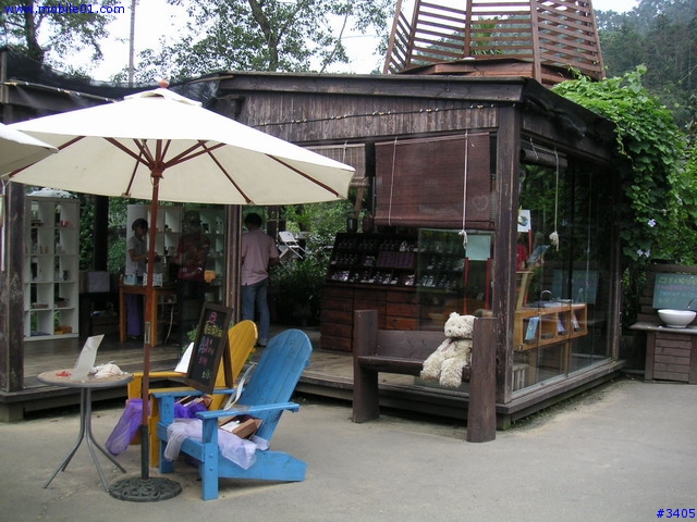 《cat的吃喝玩樂檔案》薰衣草森林（新社店）