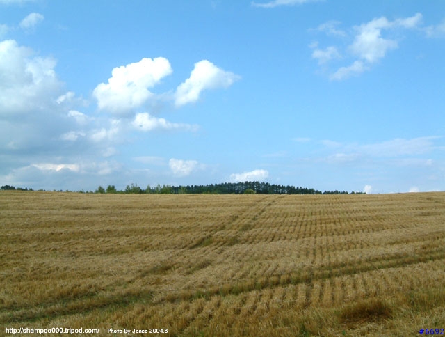 [2004.8-北海道]北國的大地