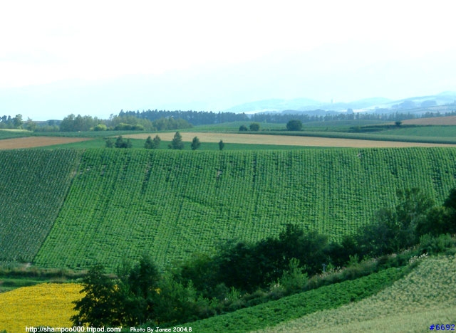 [2004.8-北海道]北國的大地