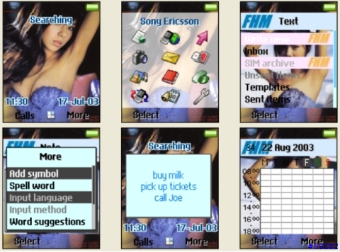 [分享T6X0/Z600] FHM 婷婷主題