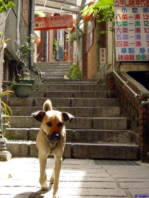 九份之旅 for SonyEricsson S700i