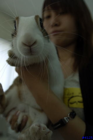 毛毛特輯