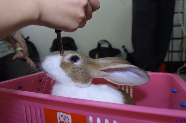 毛毛特輯