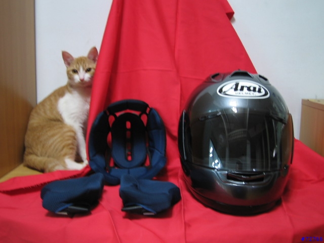 [分享加勸敗]Arai RX-7 RR4