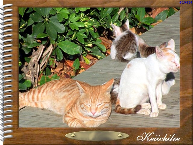 [勸遊]墾丁四日遊之一～夏都的海（圖狠多，請有空再看）