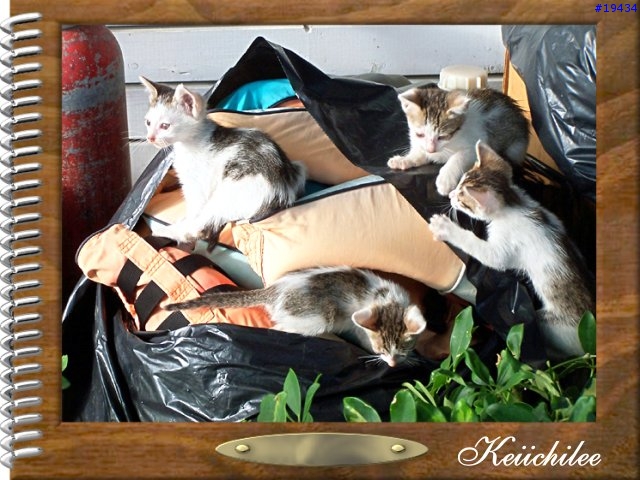 [勸遊]墾丁四日遊之一～夏都的海（圖狠多，請有空再看）