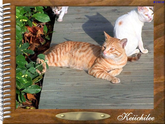 [勸遊]墾丁四日遊之一～夏都的海（圖狠多，請有空再看）