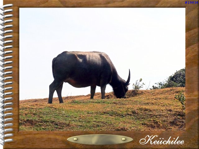 [勸遊]墾丁四日遊之一～夏都的海（圖狠多，請有空再看）