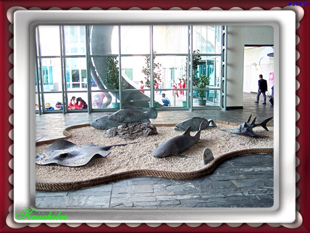 [勸遊]墾丁四日遊之番外篇～海生館的魚（圖狠多，請有空再看）