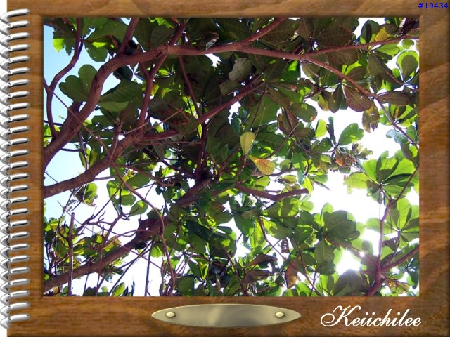 [勸遊]墾丁四日遊之一～夏都的海（圖狠多，請有空再看）