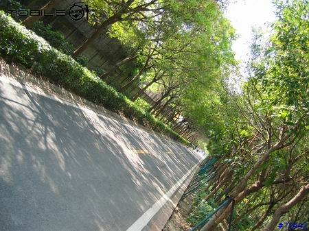 東豐綠色自行車走廊之趴趴行