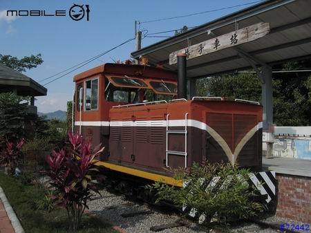 東豐綠色自行車走廊之趴趴行