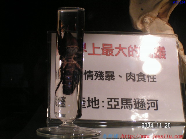 稀奇古怪館分享