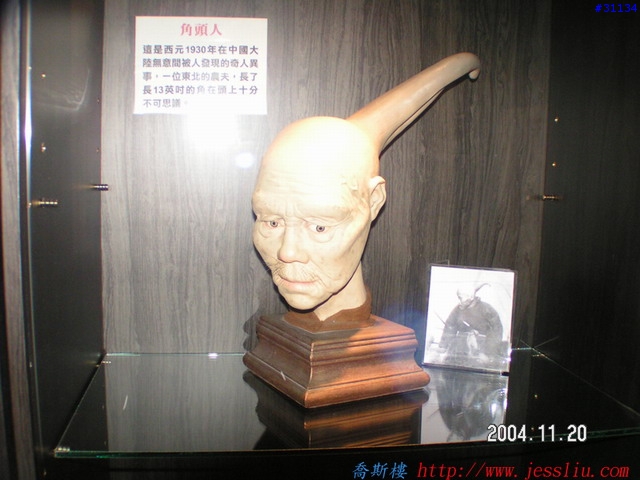 稀奇古怪館分享