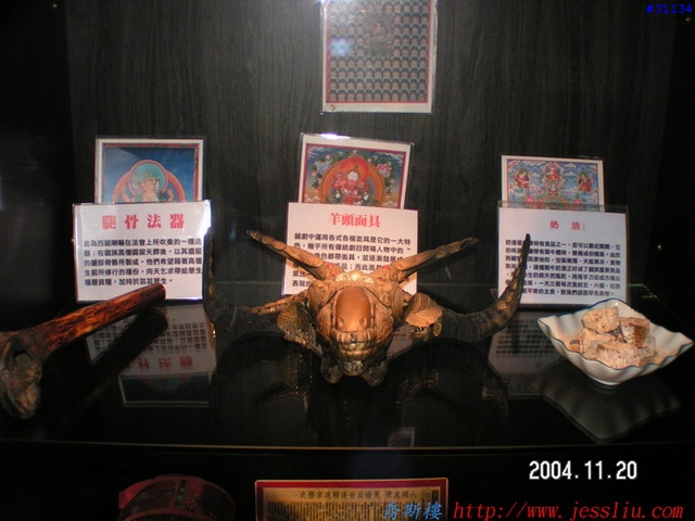 稀奇古怪館分享