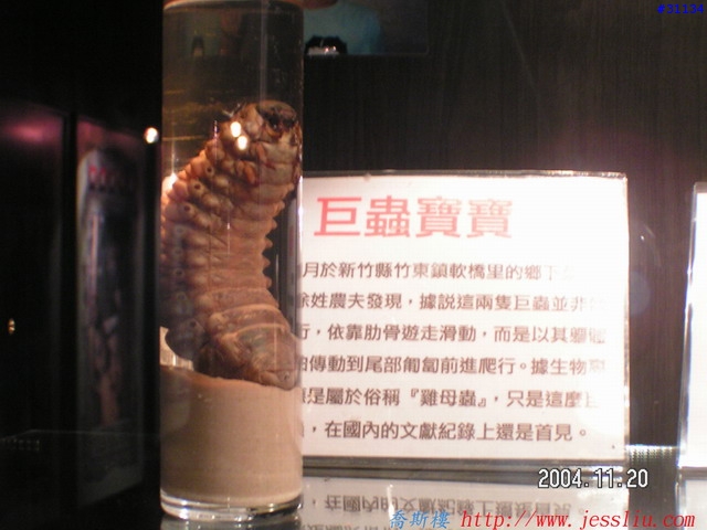 稀奇古怪館分享