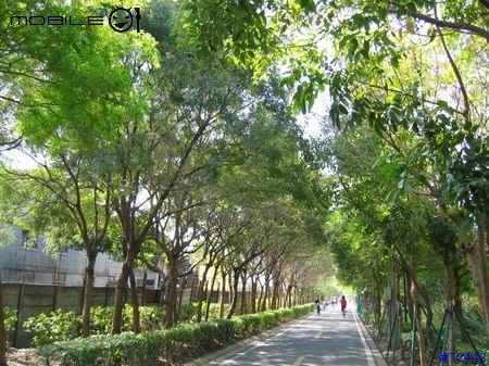 東豐綠色自行車走廊之趴趴行