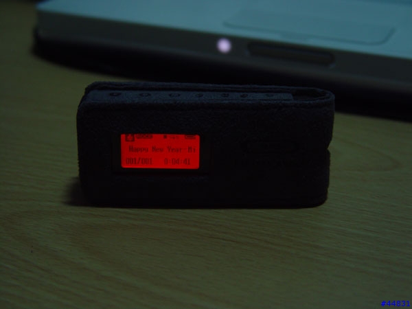 [分享]READS RDS-110/256MB MP3....流線的外型....吸引大家的眼光