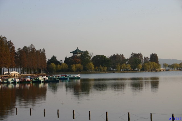 武漢東湖冬景