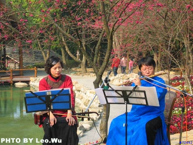 [分享]九族文化村櫻花祭之旅