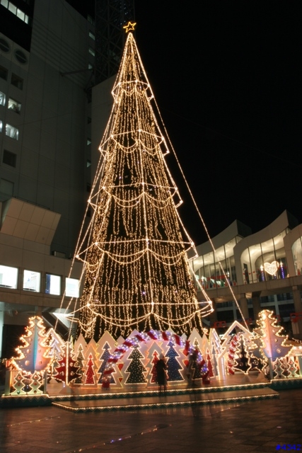 [日本大阪行] 夜景分享