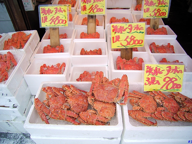 chiang的北海道歷險記(2)