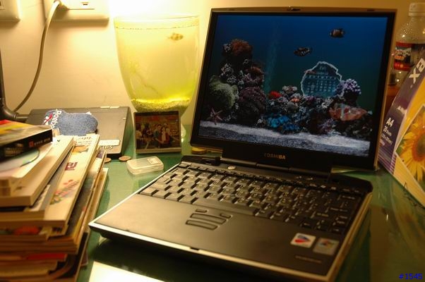 冷飯熱熱炒： Toshiba M100