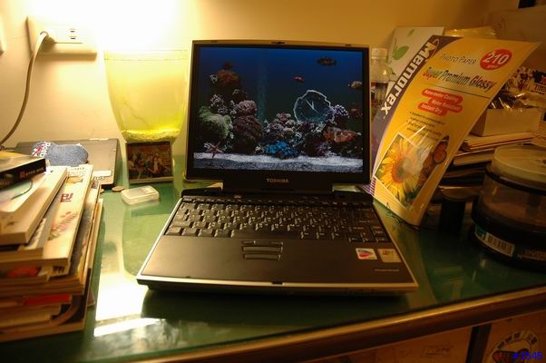冷飯熱熱炒： Toshiba M100