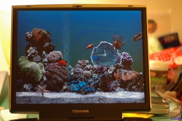 冷飯熱熱炒： Toshiba M100