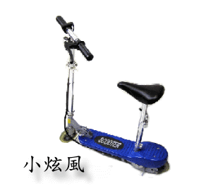 有多少人擁有可攜式 代步的電動滑板車呢?