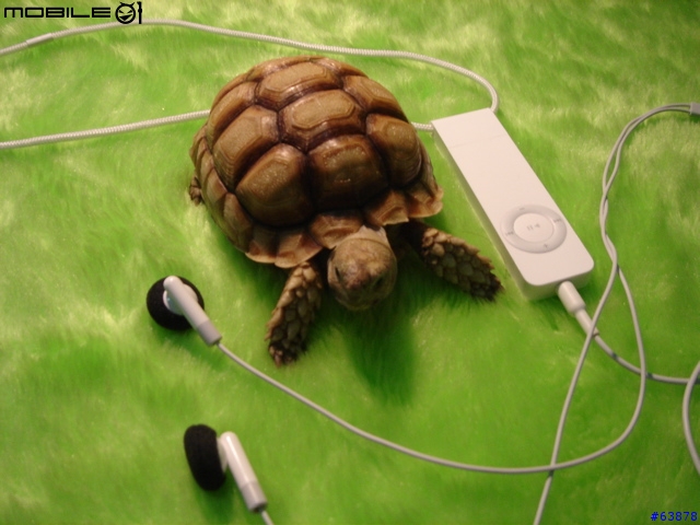 ipod shuffle合照大集合