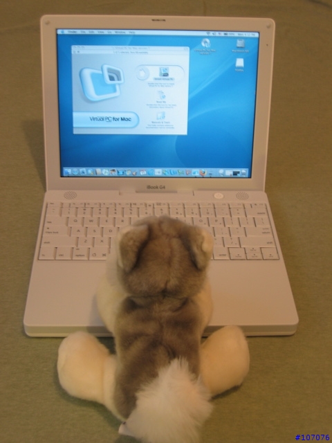 [分享] 買了 iBook 12" (1.2GHz G4) for less than 0
