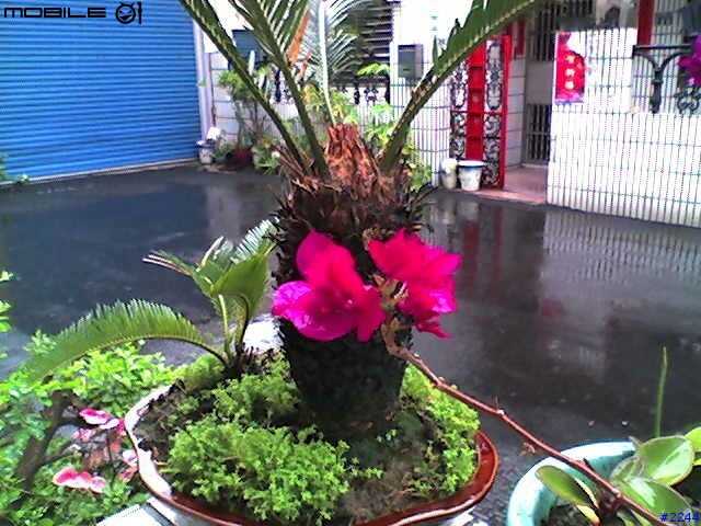 [勸敗]Panasonic X800 入手心得(圖多)。
