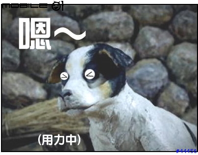 真的好笑喔...
