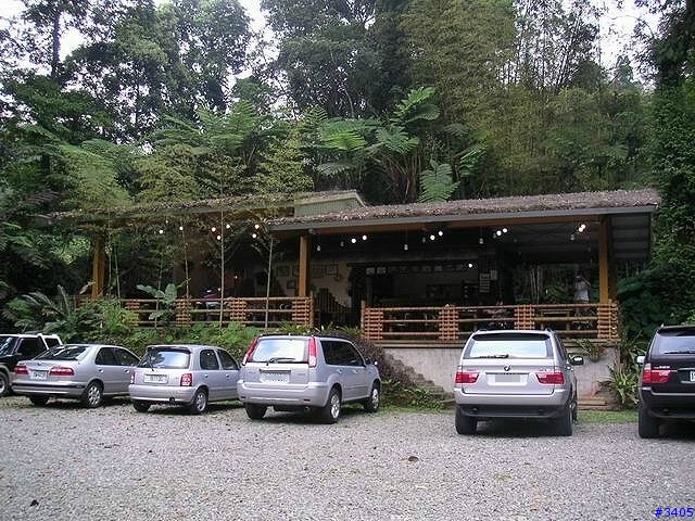 《cat的吃喝玩樂檔案》溪頭、杉林溪二日遊    PartI：竹林、火金姑的盛夏之約+5/15更新杉林溪50年難得雪景圖片