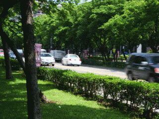 [DSLR 入門] AI servo 練習 - 飛馳中的汽車