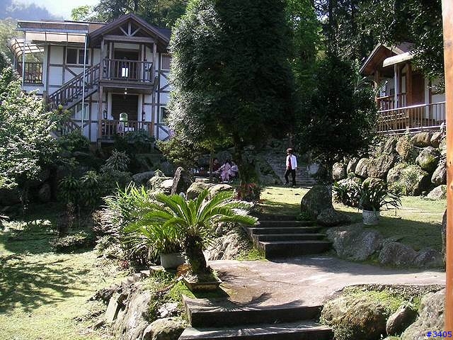 《cat的吃喝玩樂檔案》溪頭、杉林溪二日遊    PartI：竹林、火金姑的盛夏之約+5/15更新杉林溪50年難得雪景圖片