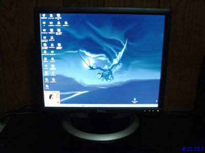 [分享] DELL 1905FP (圖多)