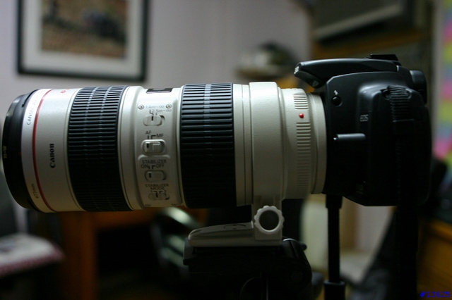 [分享]CANON EF 70-200mm 1:2.8 L IS...