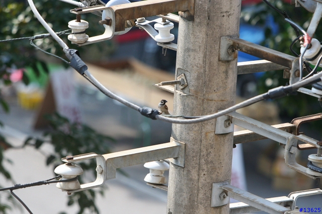 [分享]CANON EF 70-200mm 1:2.8 L IS...