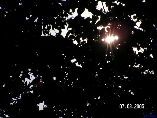 便宜的手動機KONICA MINOLTA Z10小小心得